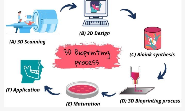 3D Bioprinting 1