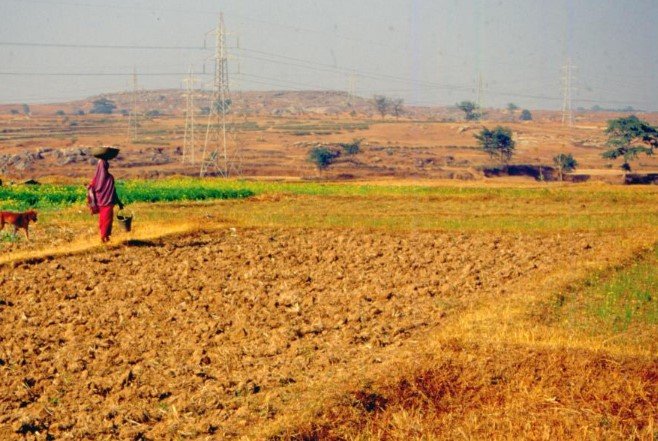 Enhancing Crop Resilience: Biotechnology’s Role in Climate-Resistant Agriculture