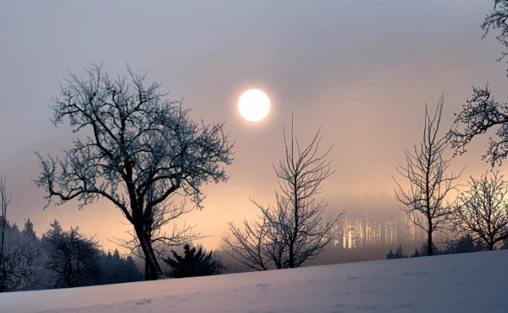 The Winter Solstice of 2023: What You Need to Know About the Shortest Day of the Year