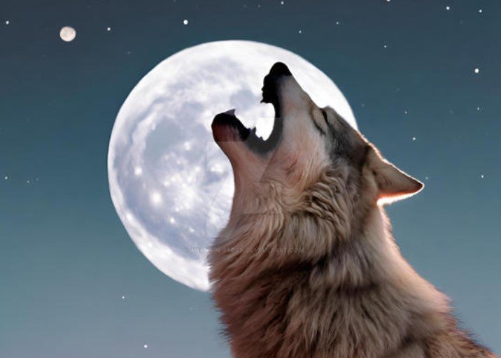 Wolf Moon